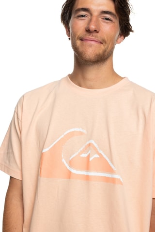 Biologisch Katoenen T-shirt Vintage Logo - Roze - Quiksilver