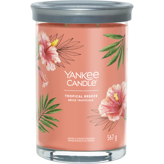 Vela perfumada tarro grande - Brisa tropical