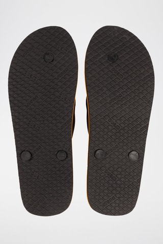 Slippers Parrot - Zwart