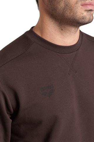 Sweater - Bruin