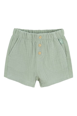 Short - Vert olive