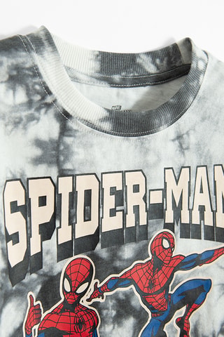 T-shirt Spider-Man DC Comics - Gris