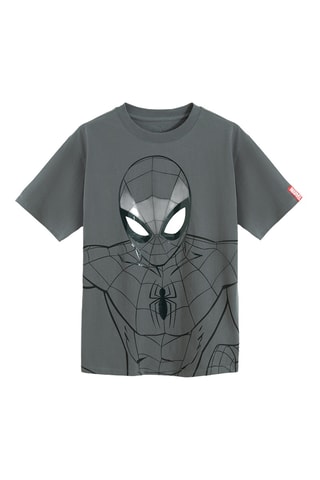 T-shirt Spider Man DC Comics - Gris
