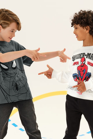 T-shirt Spider Man DC Comics - Gris
