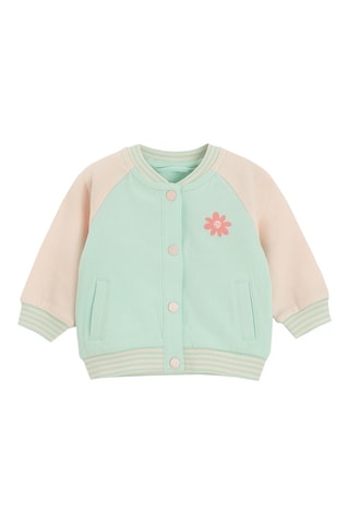 Teddy - Rose