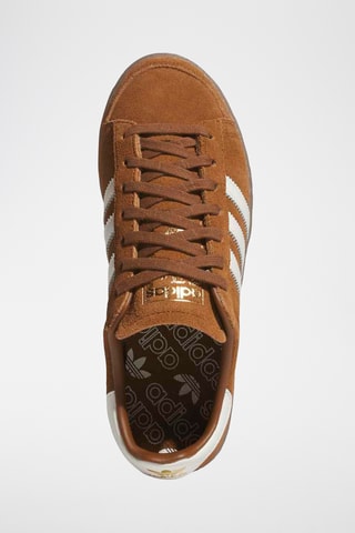 Zapatillas de baloncesto de nobuk Jabbar Low - Marrón