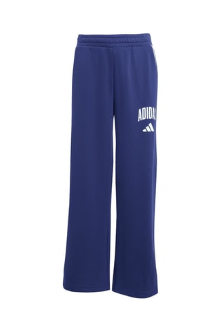 Pantalón regular fit Seasonals - Azul oscuro