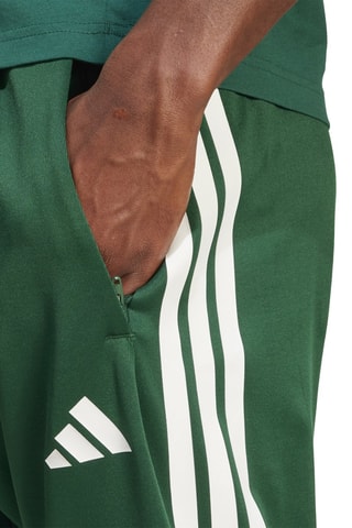 Pantalón regular fit Tiro - Verde oscuro