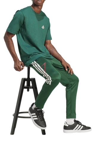 Pantalón regular fit Tiro - Verde oscuro