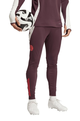 Pantalón de entrenamiento FC Bayern Munich - Marrón