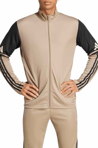 Chaqueta de fútbol Squadra - Beige