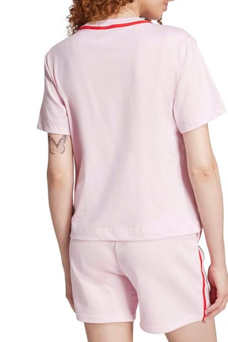 Camiseta regular fit Seasonals - Rosa