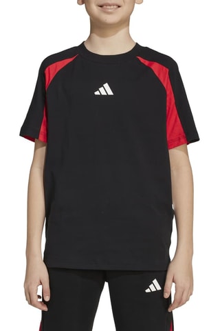 Camiseta de entrenamiento Seasonals - Negro