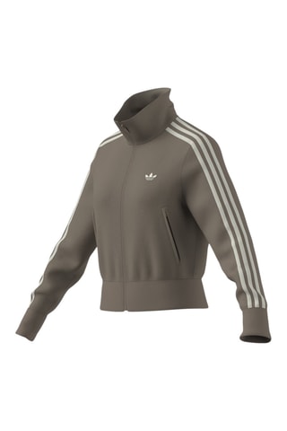 Sudadera de chándal Firebird - Marrón