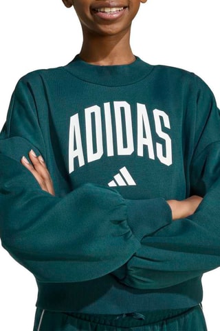 Sudadera Seasonals - Verde esmeralda
