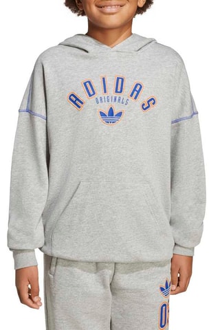Sudadera con capucha Graphics - Gris jaspeado