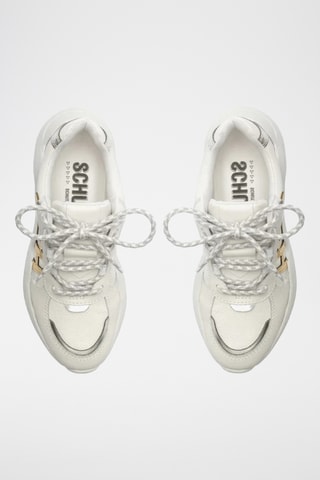 Tenis - Blanco