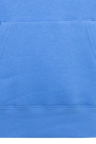 Sweat molletonné à capuche Brooklyn - Jordan - Blanc et bleu