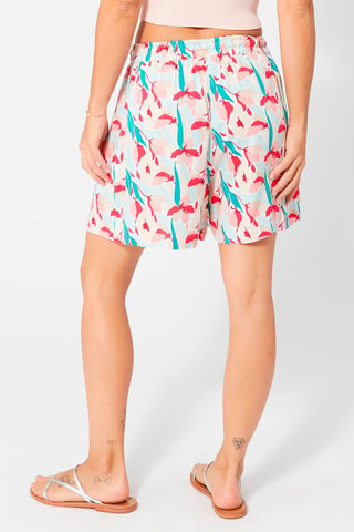 Shorts - Beige, rosso e blu