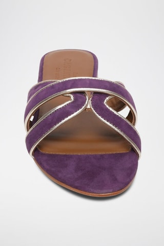 Mules em nobuck Myrtice - Violeta e dourado