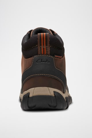 Baskets montantes en cuir Walbeck - Marron