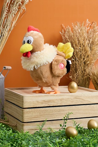 Cocotte la gallina che depone le uova