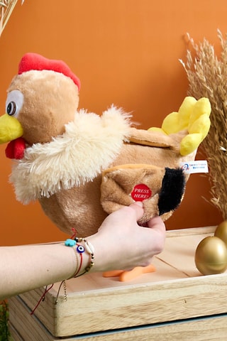 Cocotte la gallina che depone le uova