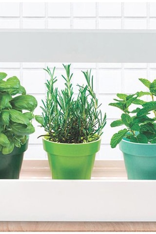Lamp voor de binnenmoestuin- Wit