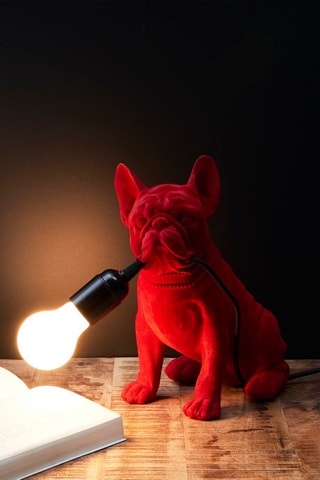 Bulldog lamp Red Velvet- Rood