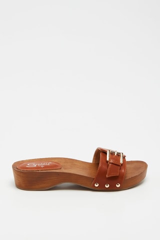 Muiltjes Camel