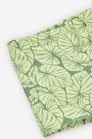 Costume parigamba - Verde chiaro - Verde