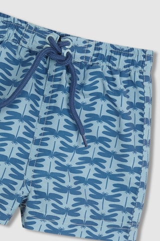 Costume shorts - Verde