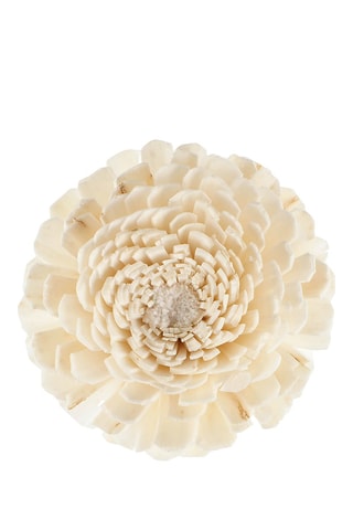 Flor grande de Goatier - Christen