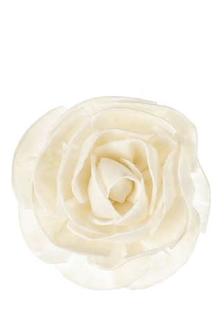 Flor grande de Goatier - Rosea