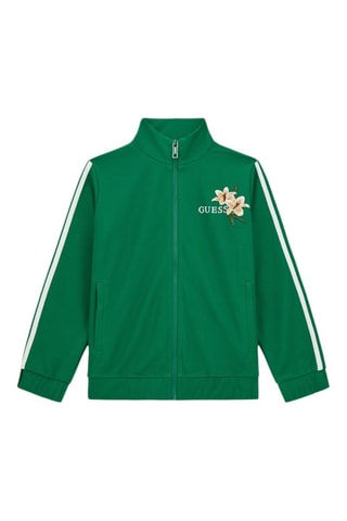 Veste - Vert - Guess