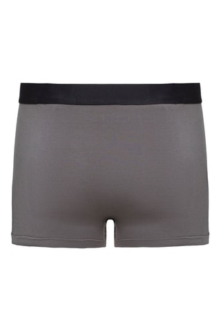 Boxer - Gris