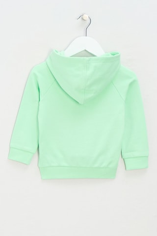 Sweat à capuche - Vert d’eau et bleu