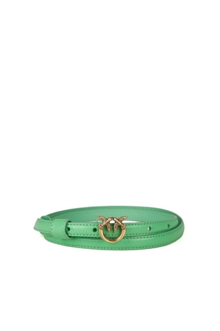 Cinturón de piel - Verde y dorado