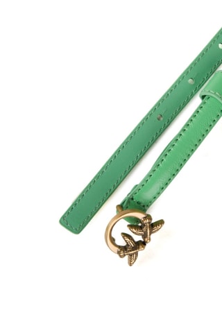 Cinturón de piel - Verde y dorado