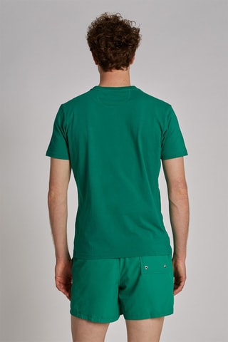 Camiseta - Verde