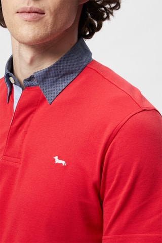 Polo - Harmont & Blaine - Blanco, rojo y azul