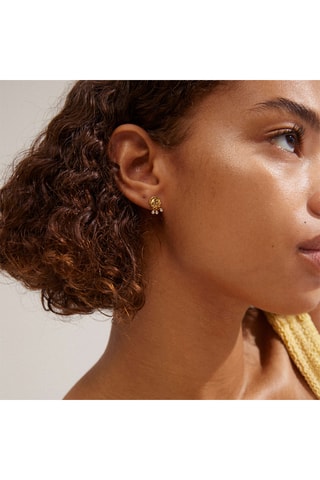 Brincos Breathe - Banhado a ouro amarelo