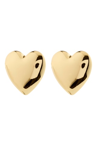Brincos Annemette - Banhado a ouro amarelo