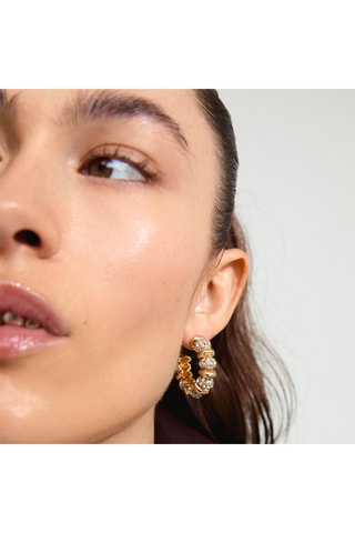 Argolas Delphine - Banhado a ouro amarelo