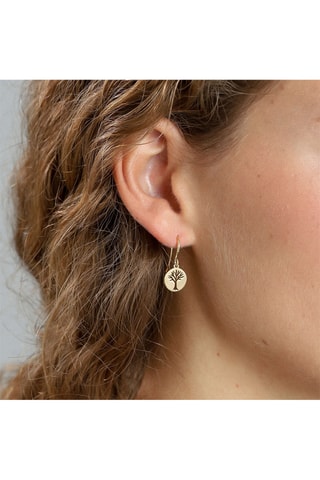 Brincos Elin - Banhado a ouro amarelo