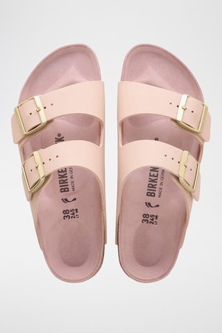 Mules Arizona - Rose