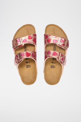 Mules Arizona - Rose