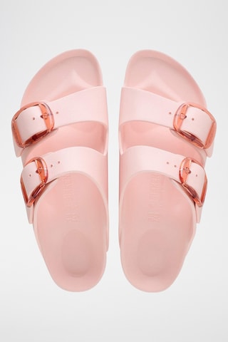 Mules Arizona - Rose