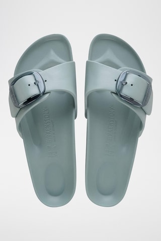 Mules Arizona - Vert