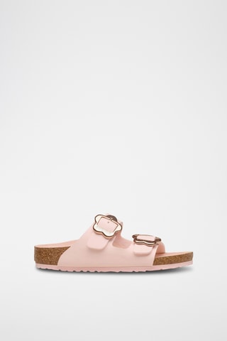 Mules Arizona - Rose